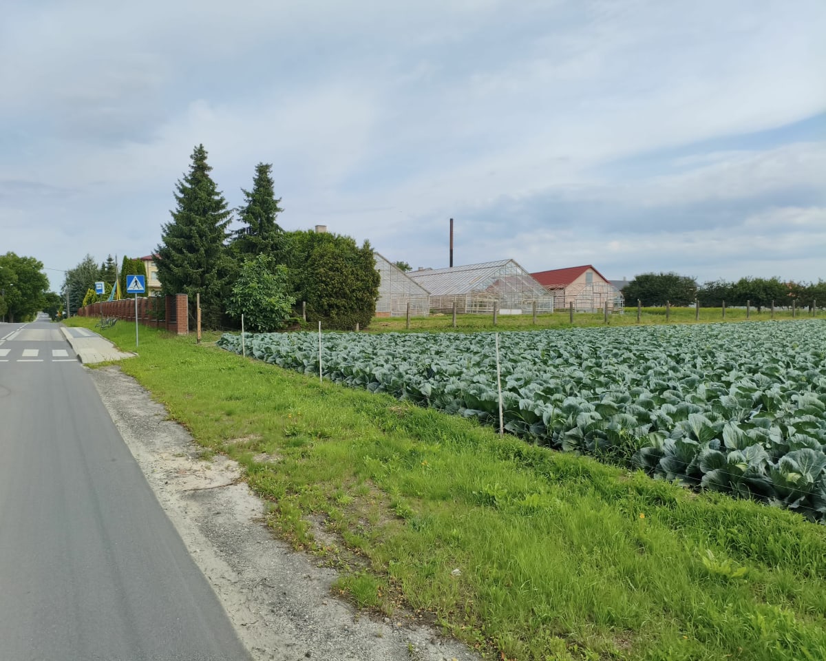 Trasa objazdowa wzniesienia łódzkie - Andrespol