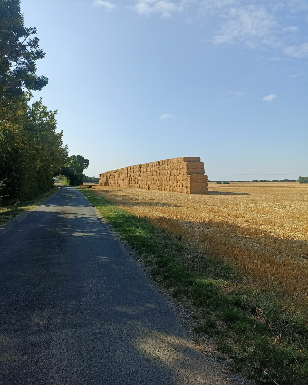 De Brassepot jusqu'à la route de Saint-Christophe - Aigrefeuille-d'Aunis