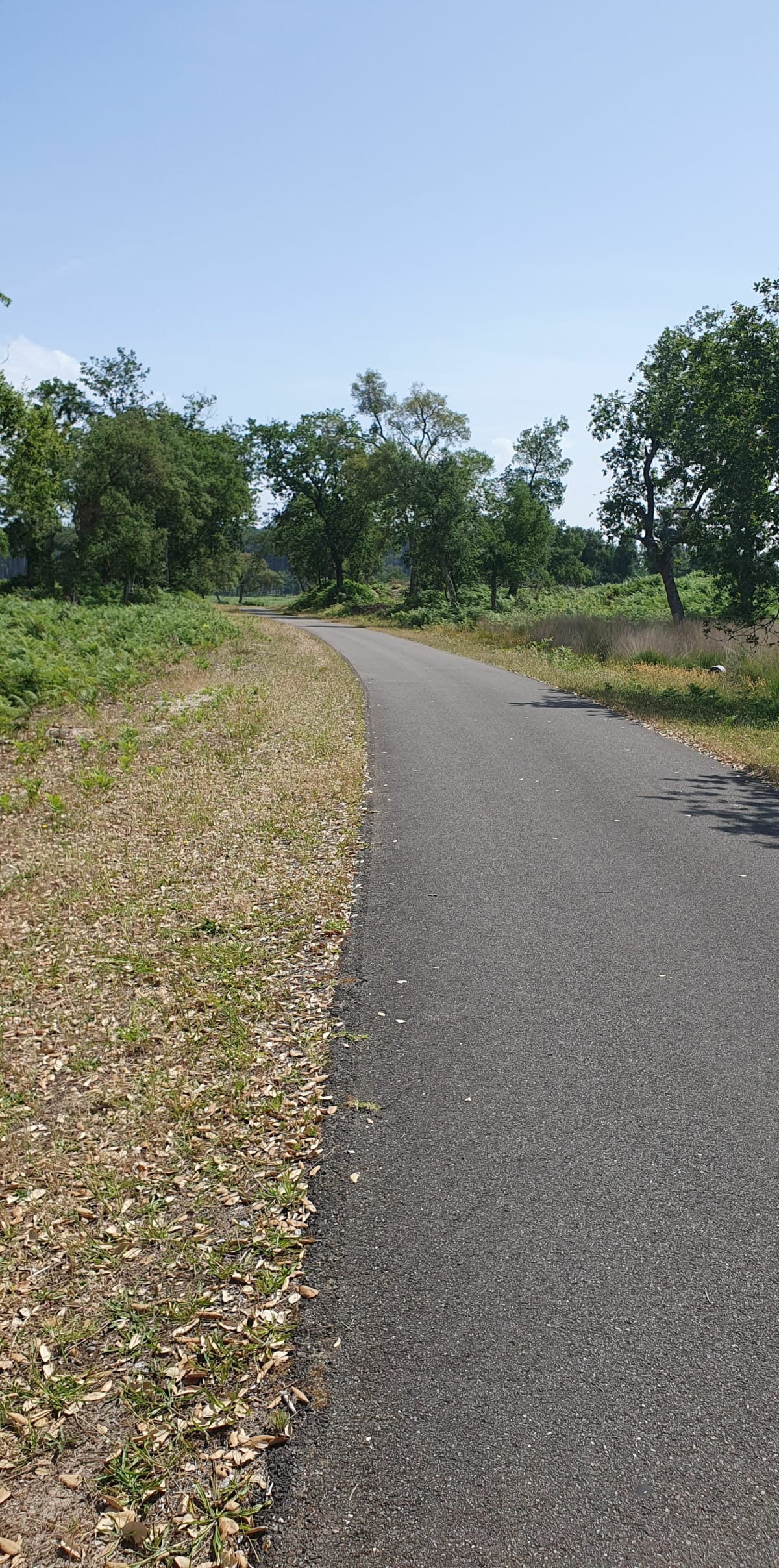 Balade à pieds ou vélo depuis Soustons - Alain