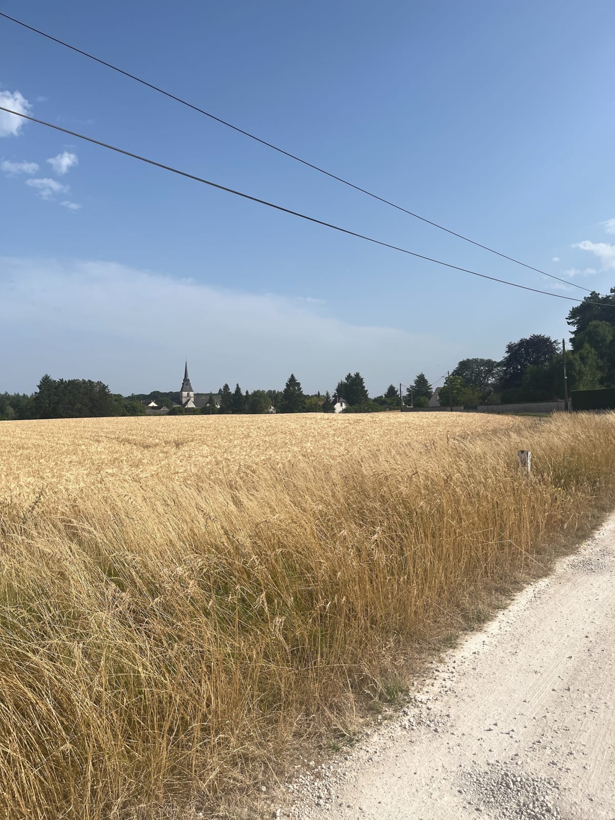 Boucle dans la forêt de Russy - Vineuil