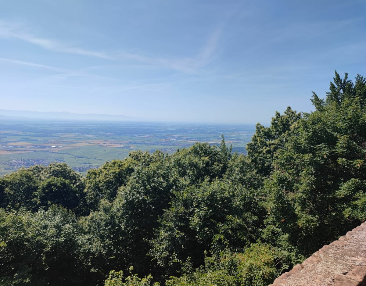 Haut koenigsbourg depuis Châtenois - Châtenois