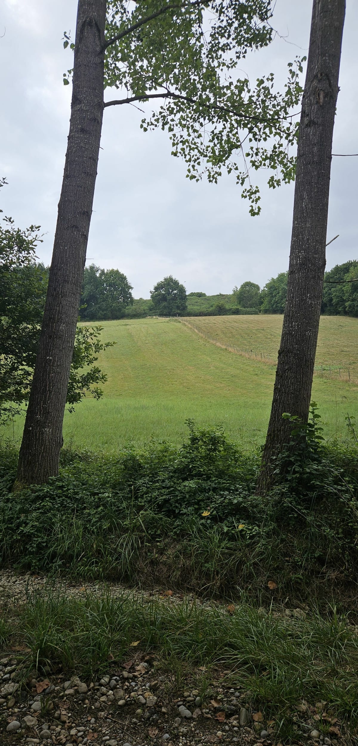Traverse de Saint-Pierre-de-Chandieu - Saint-Pierre-de-Chandieu