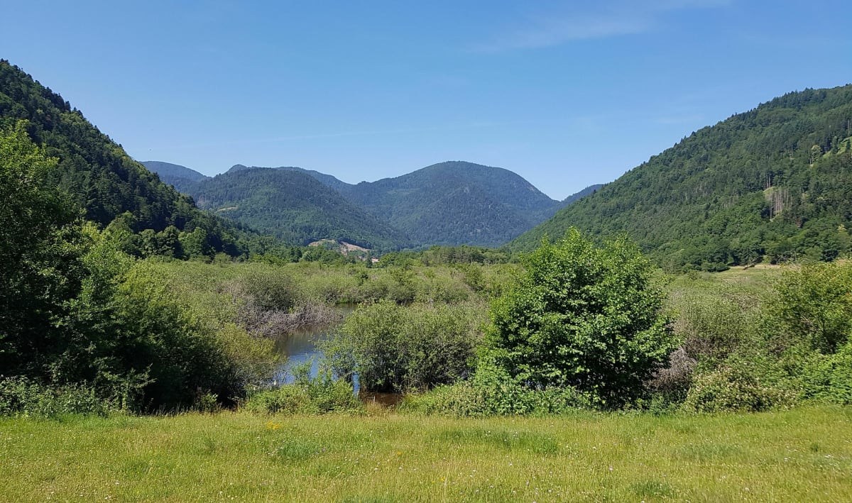 Le tour du lac de Kruth, depuis Cernay - Cernay