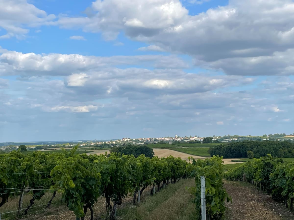 Balade autour de Barbezieux - Barbezieux-Saint-Hilaire