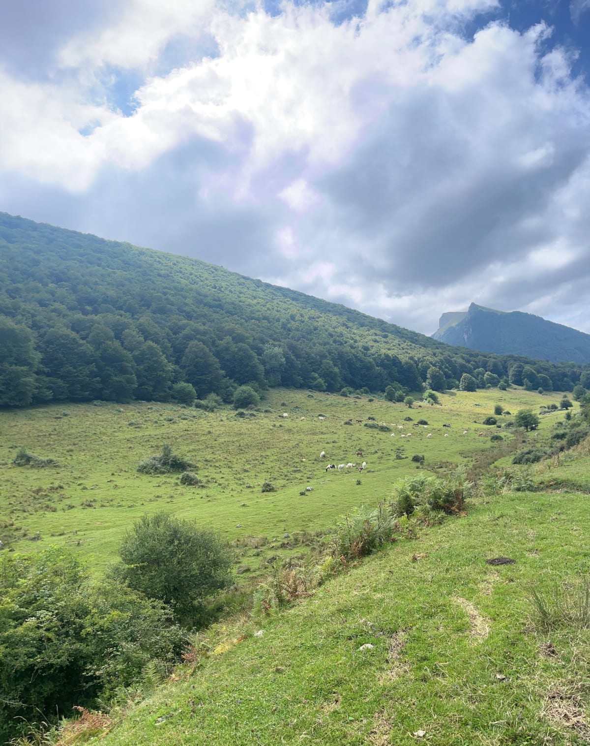Joli tour jusqu'au col de Couradabat - Bulan
