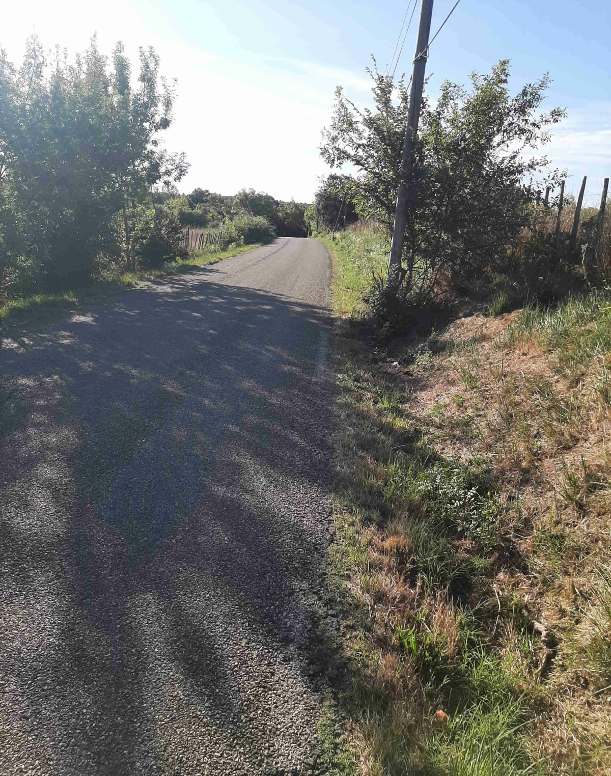 Balade tranquille à vélo, par Baillargues, Mauguio et Le Crès - Jacou