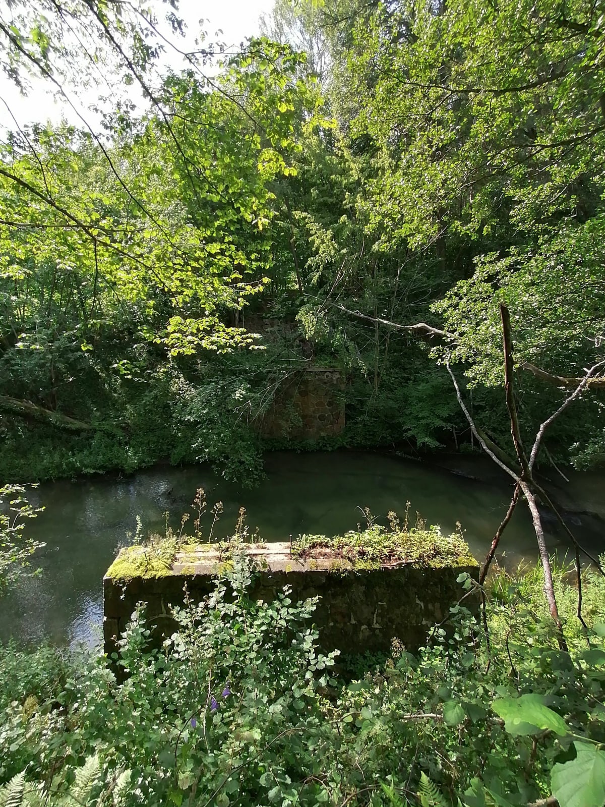 Stary zwalony most na Łynie - Olsztyn