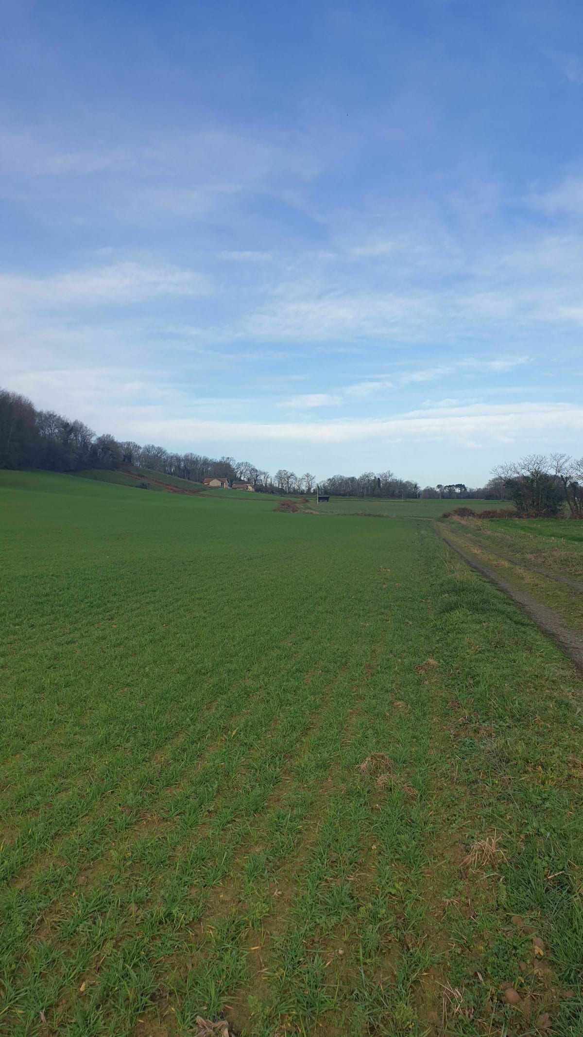 Tour complet d'Arzacq par chemins - Vignes