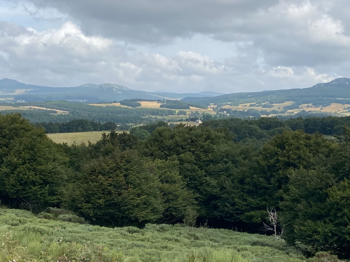 Circuit de 14 kilomètres dans la Montagne Ardéchoise - Sagnes-et-Goudoulet