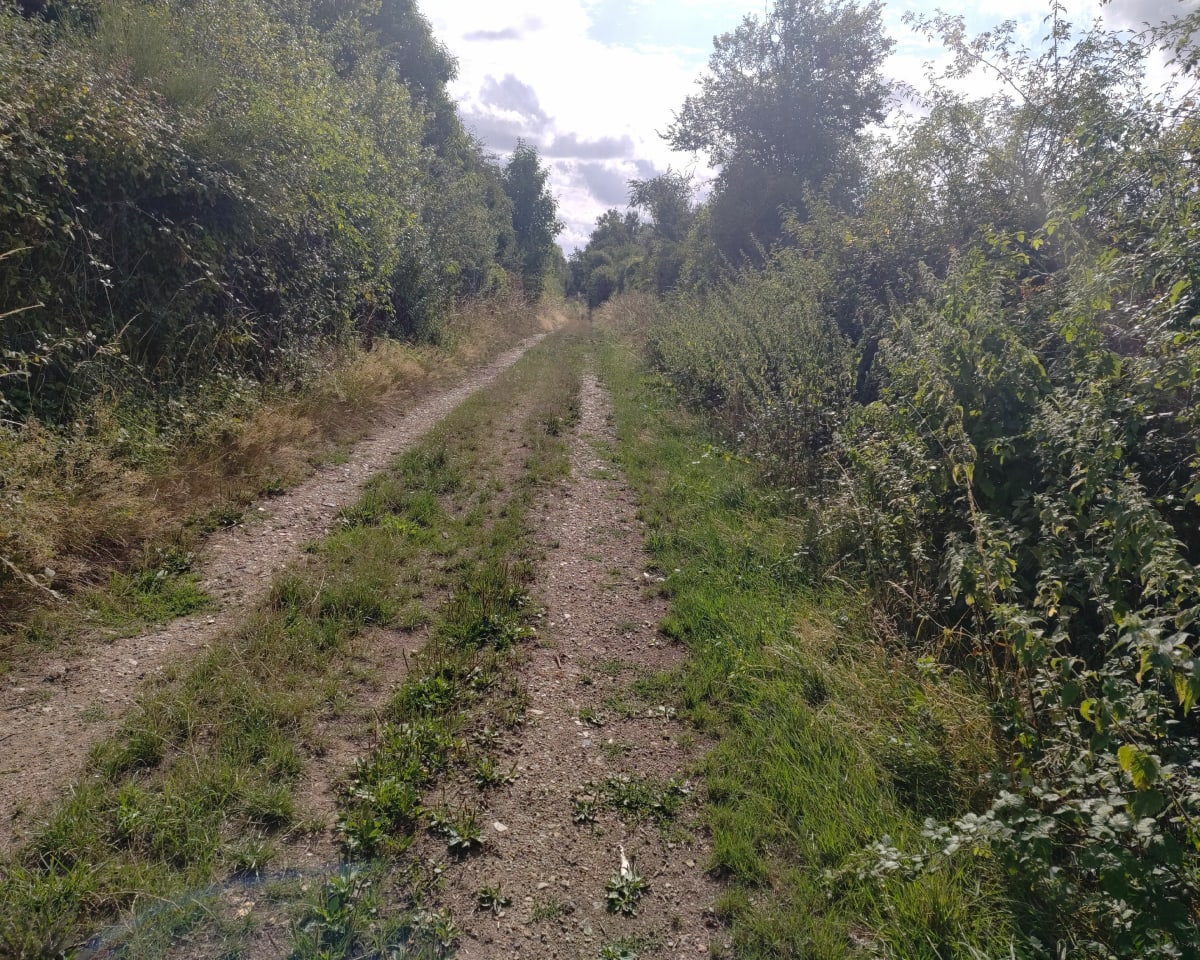 Découverte autour de Saint-Rémy-de-Sillé - Saint-Rémy-de-Sillé
