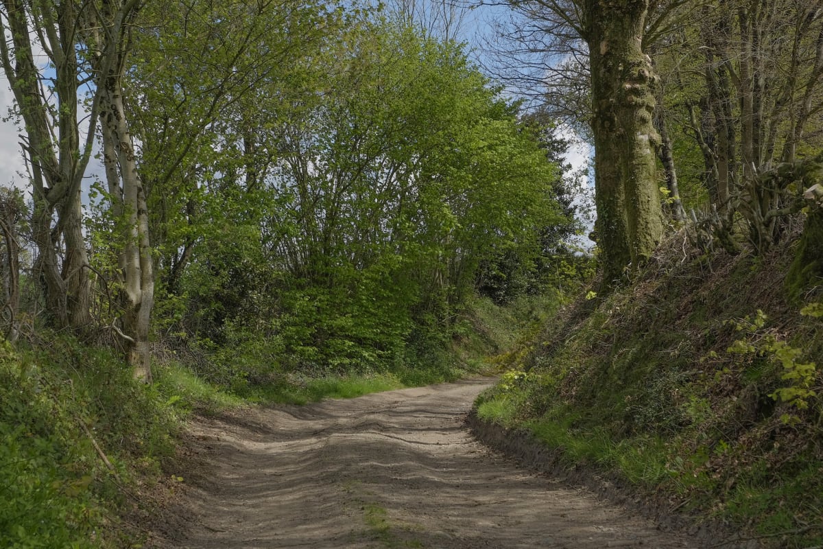 Parcours autour de Laning - Laning
