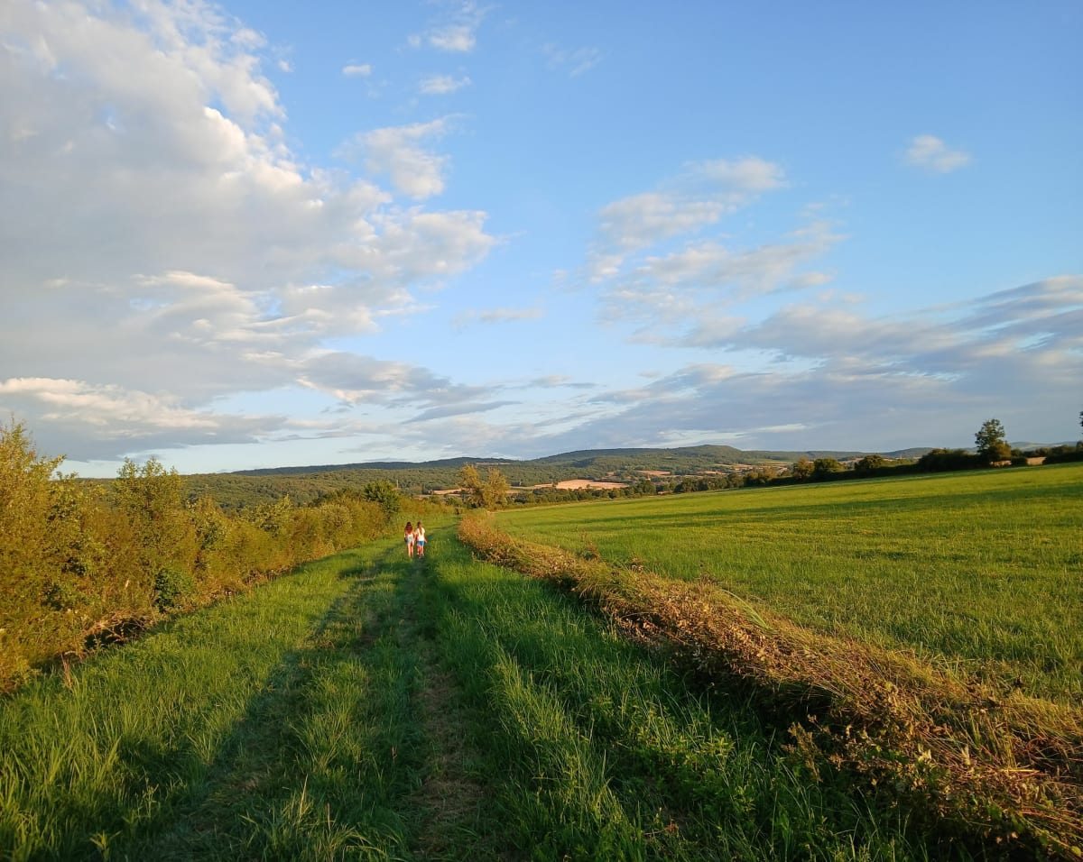 Balade autour de Vincelles et Chalot - Nanton