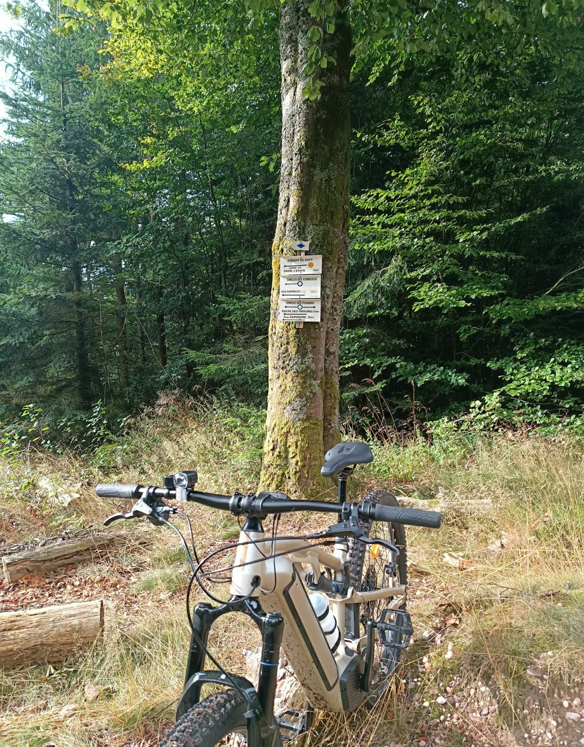 Balade VTT autour de Raon-l'Etape - Raon-l'Étape