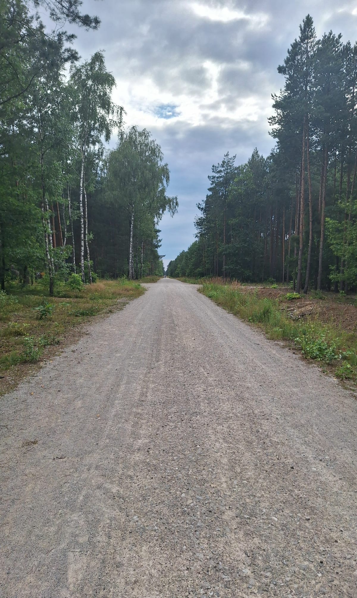 Leśny spacer w Radomsku - Radomsko