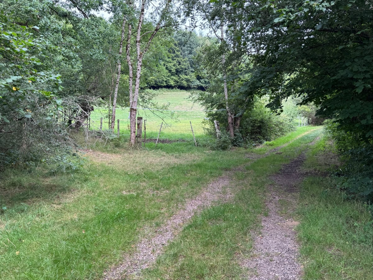 Boucle du bois de Brénil - Saulieu
