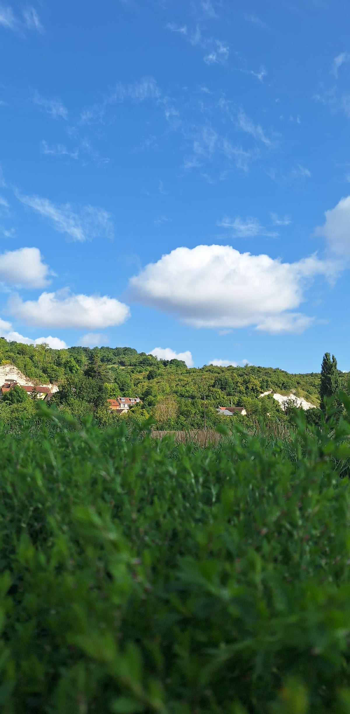 Petite rando à Bennecourt - Bennecourt