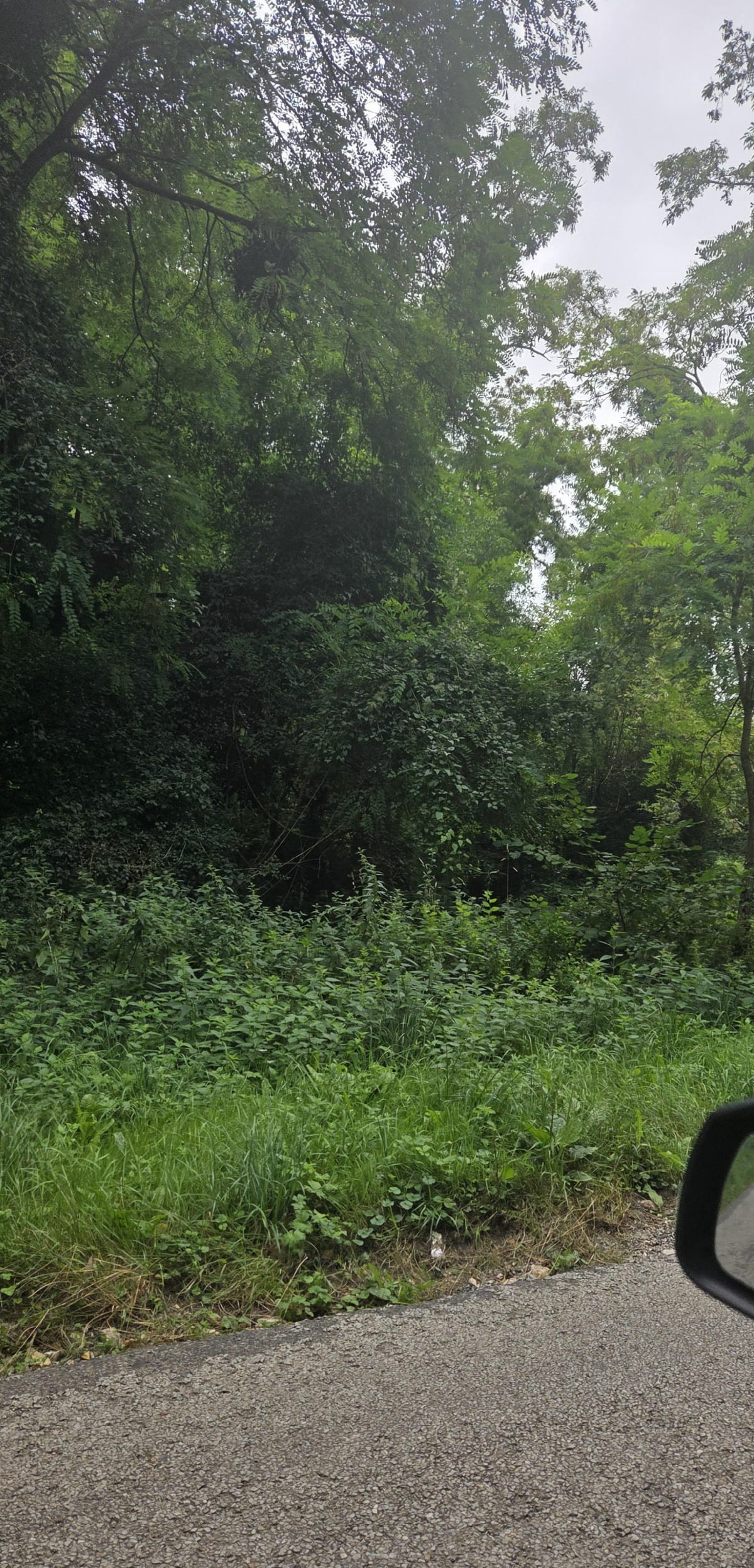 Forêt de Retz - Villers-Cotterêts