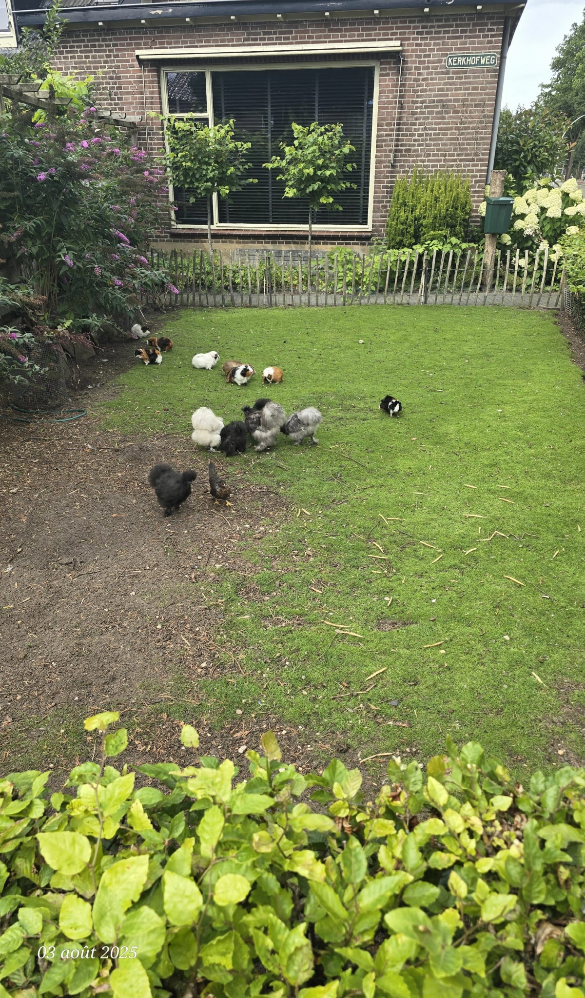 Wandelen op het Nederlandse platteland - Emst