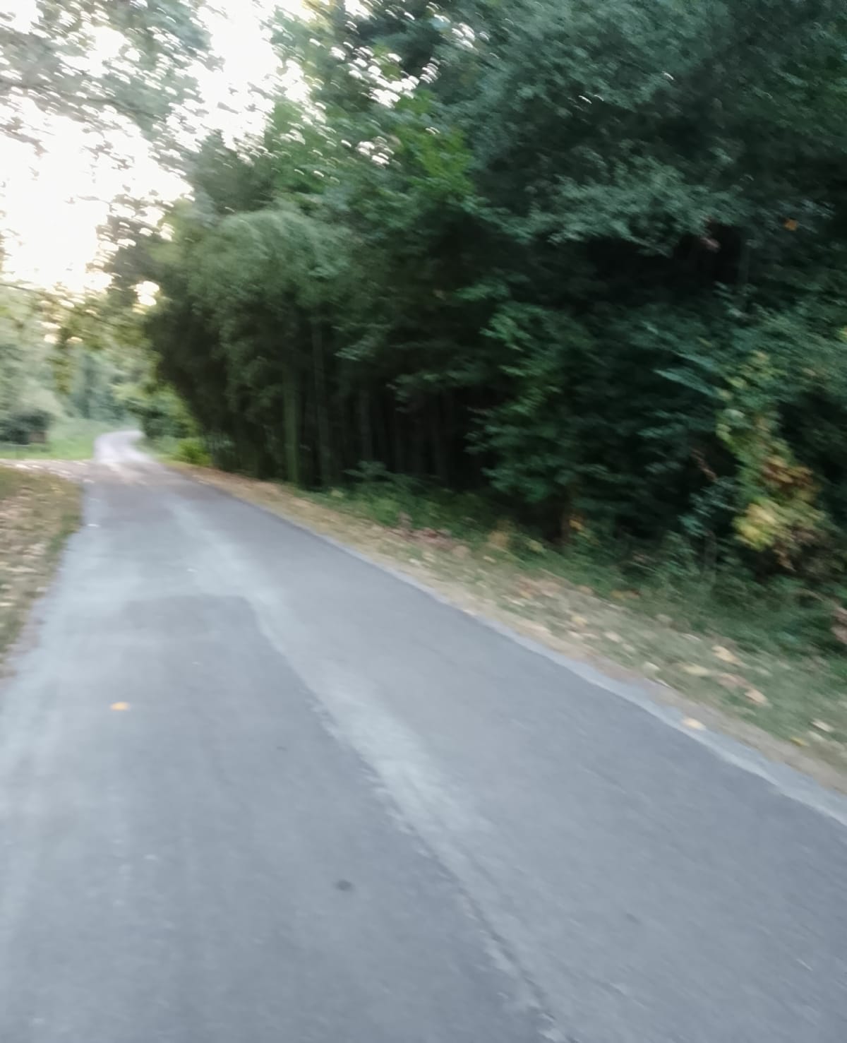 Boucle de La Berthe - Eyraud-Crempse-Maurens