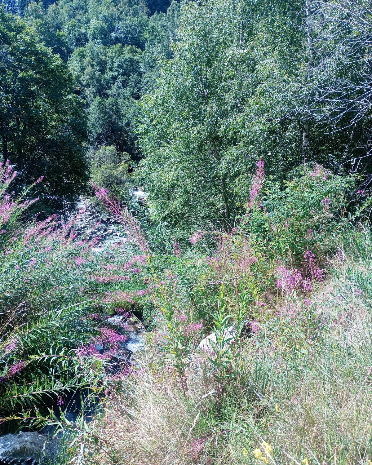 Moulin du Burdin et le Bettex - Les Belleville