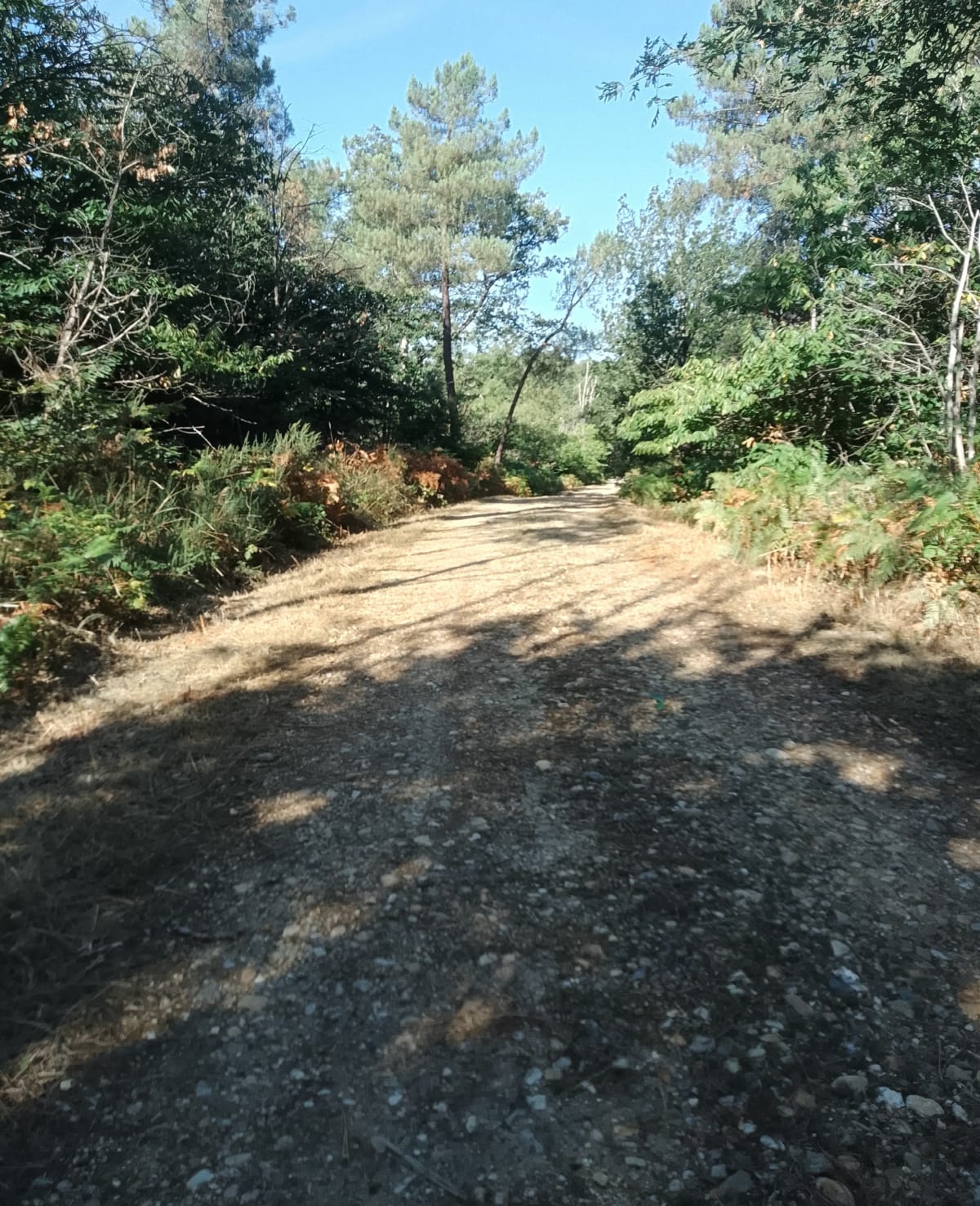 Boucle Saint-Julien-de-Crempse - Eyraud-Crempse-Maurens