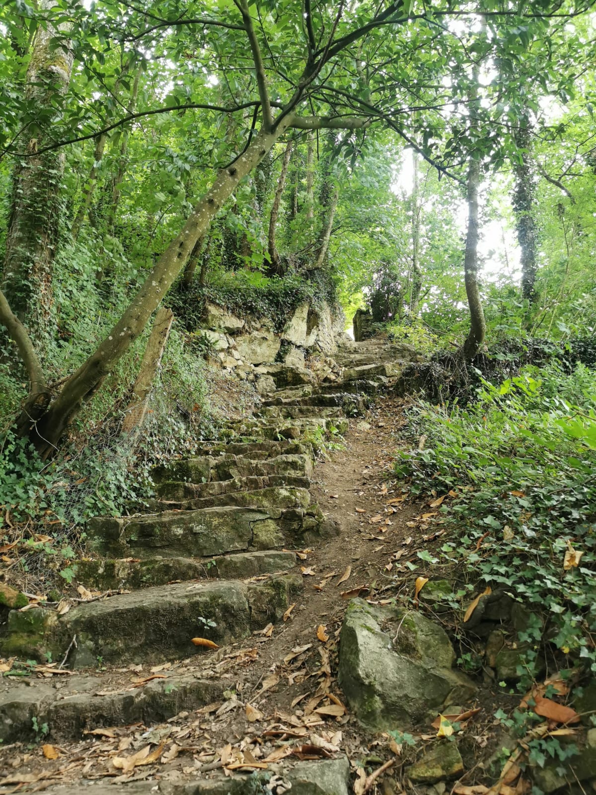 Direction cité médiéval via le chemin des 100 marches - Domfront en Poiraie