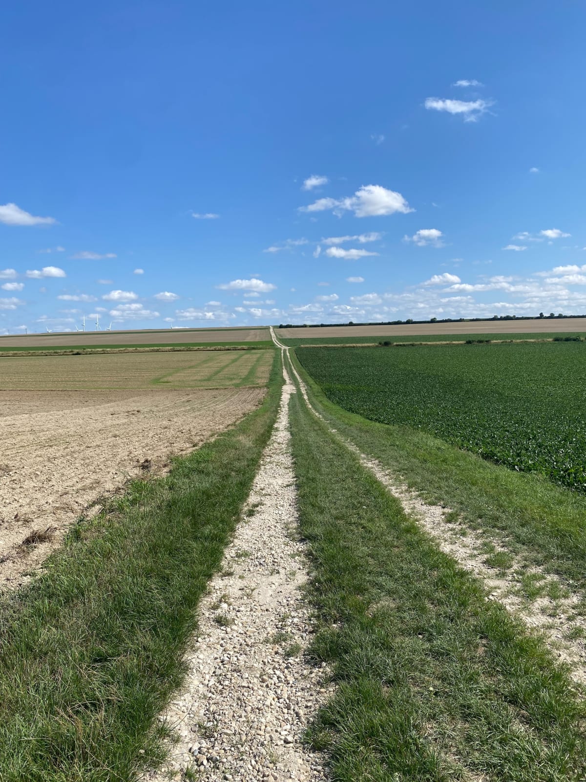 15 km entre Soulanges et La Chaussée - Soulanges