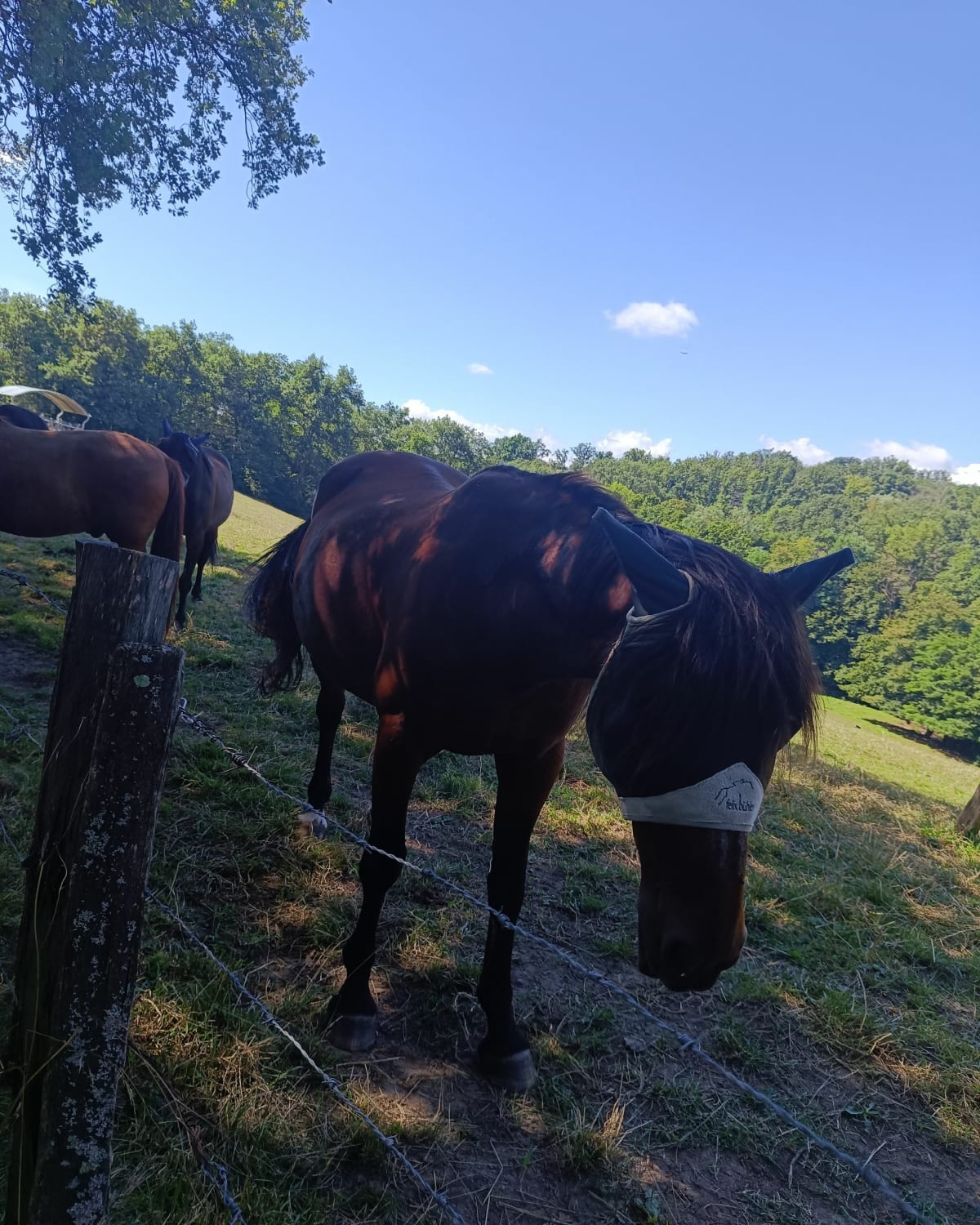 Un petit tour à Dommartin - Dommartin