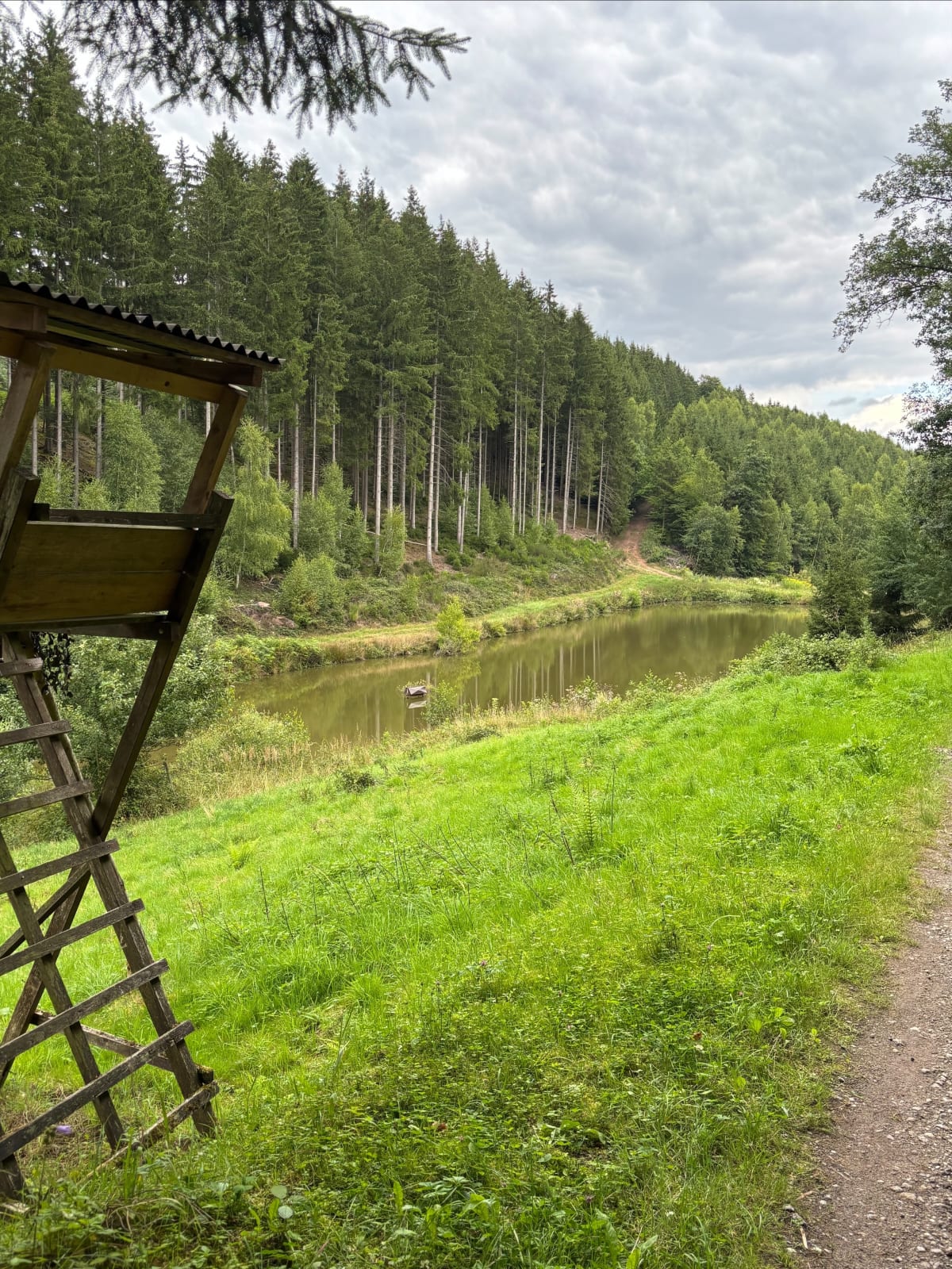 Balade à Petit-Rederching - Petit-Réderching