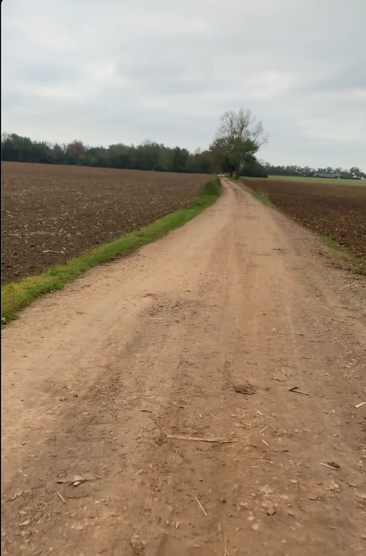 Toutainville - St Maclou - Toutainville