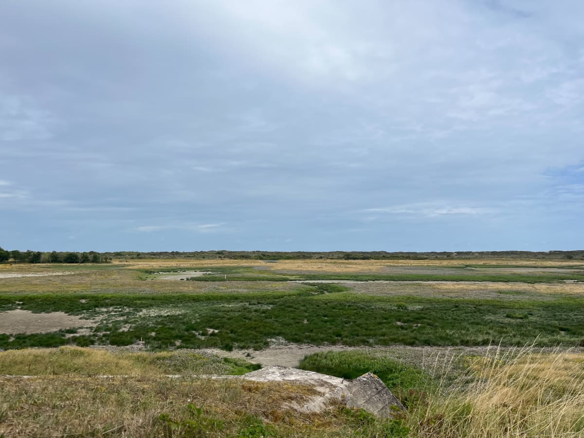 Marche naturelle au plagier d’Oye - Oye-Plage