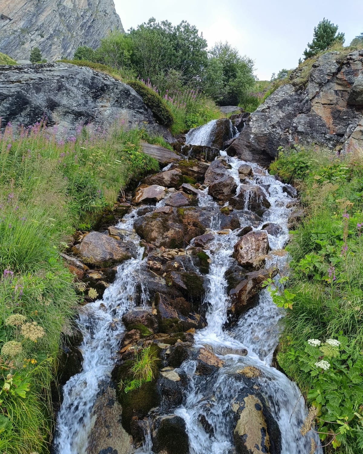Découverte du vallon de l'Orgère - Villarodin-Bourget