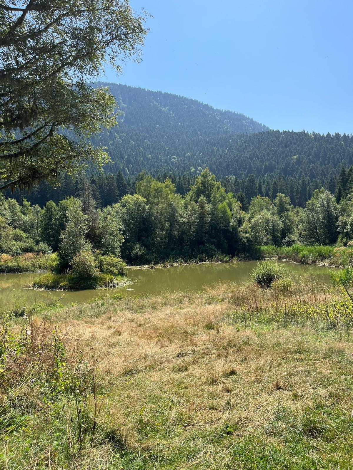 Boucle Marais des Seiglières - Saint-Martin-d'Uriage