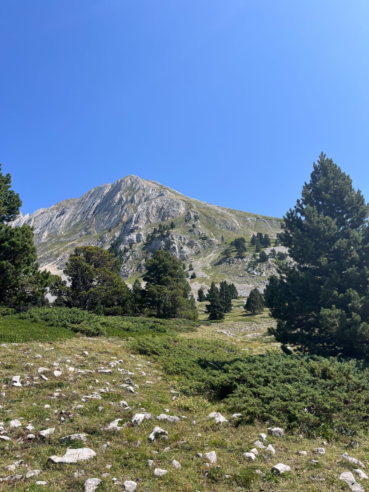 Rando col du Rousset et Pas des Chattons - Saint-Agnan-en-Vercors