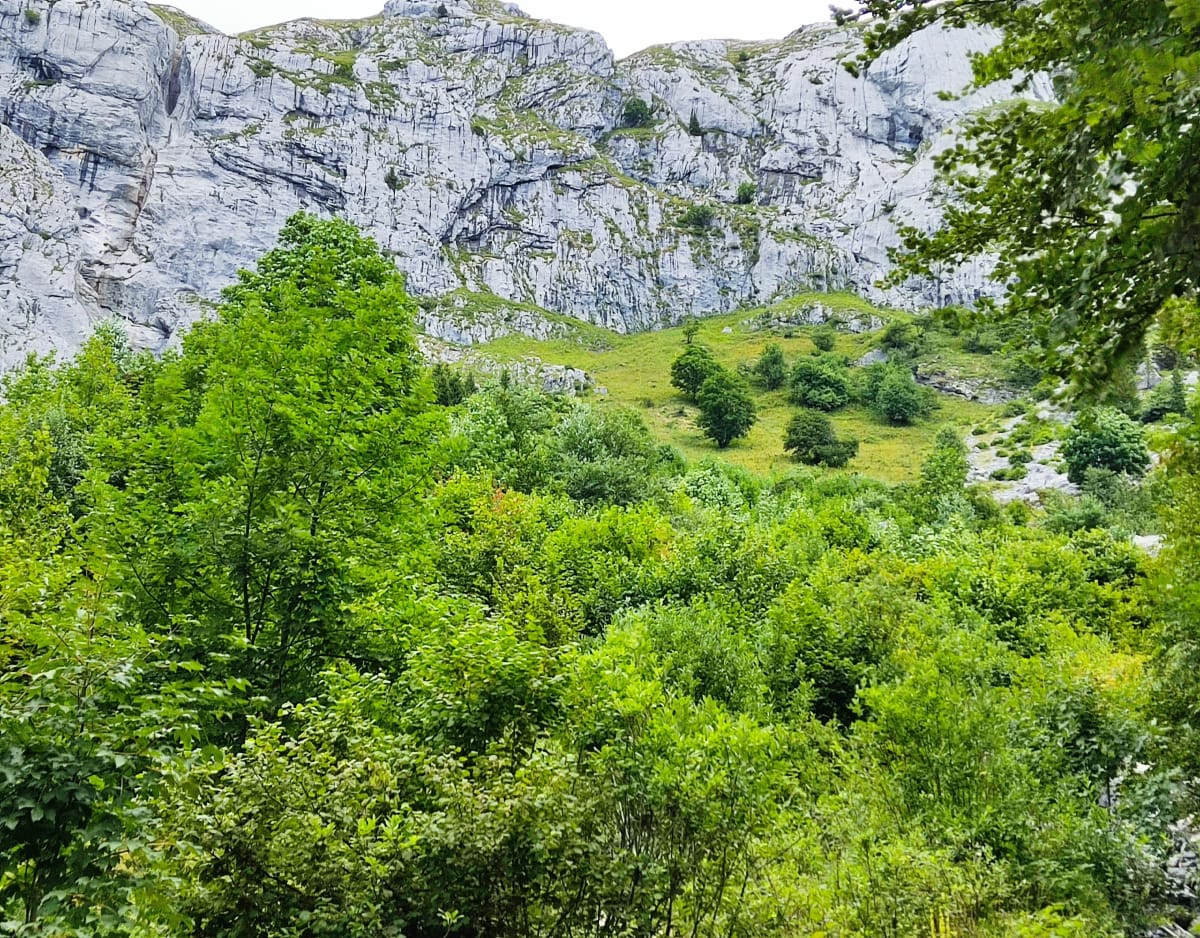 Découverte de La Tournette - Talloires-Montmin