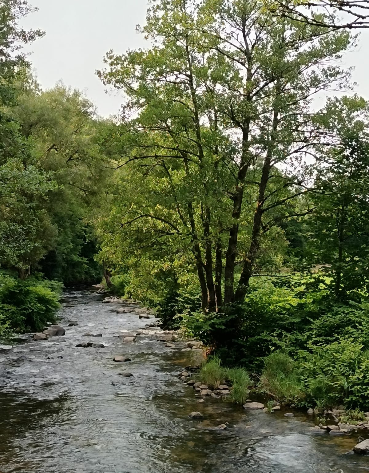 Autour de Granges-sur-Vologne - Granges-Aumontzey