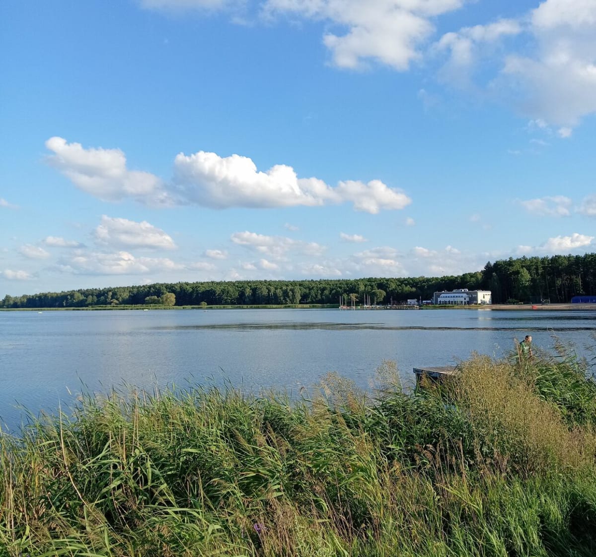 Nadleśnictwo Dojlidy - Białystok