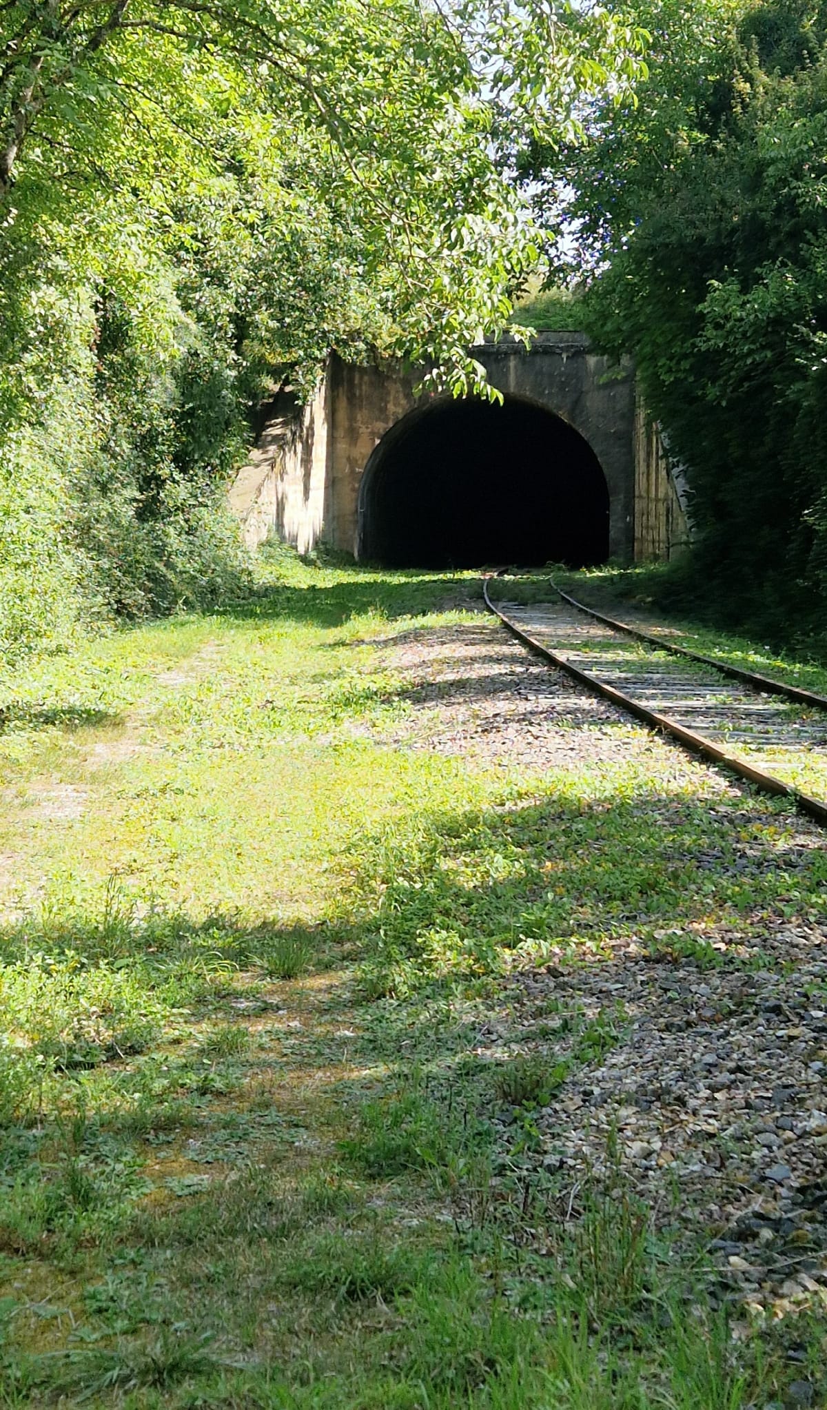 Saint-Phal et Jeugny, près de Crésantignes - Saint-Phal