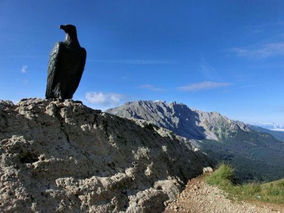 Massif des Dolomites et majesté d'un aigle - Carezza