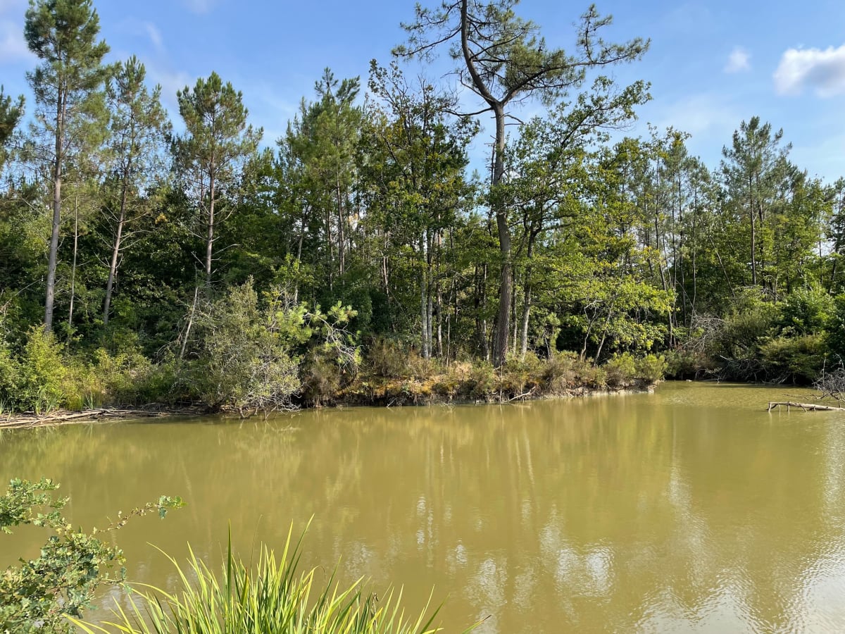 Balade autour du Taillan - Le Taillan-Médoc