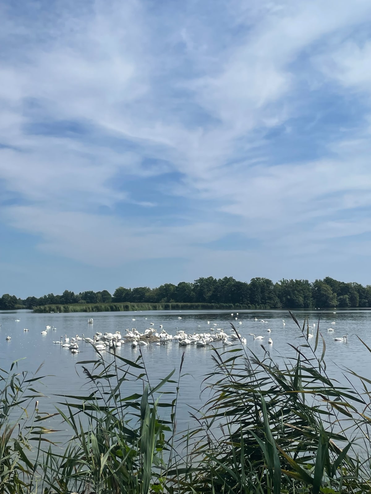 Ośrodek Sosenka - Plaża Milicz - Marta