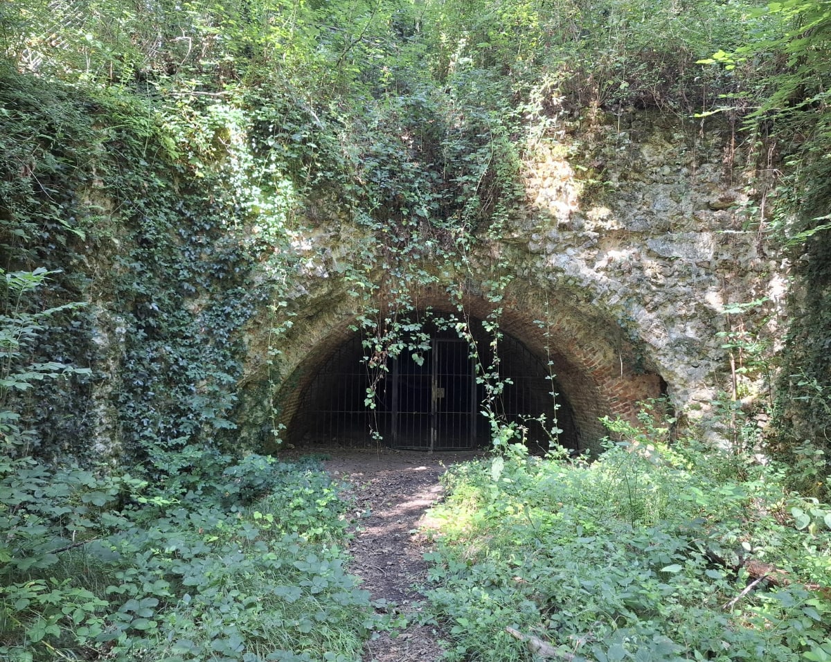 Balade au canal Louis xiv - Saint-Arnoult-des-Bois