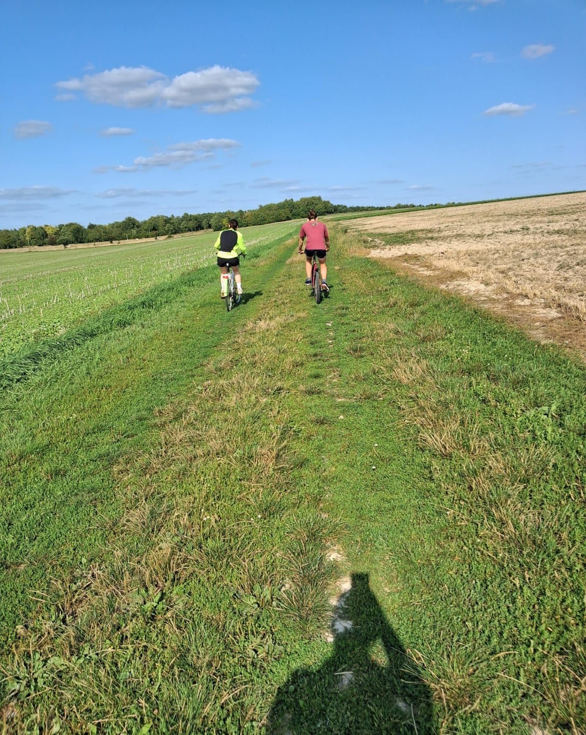 Chasse aux œufs à Somme-Suippe - Somme-Suippe