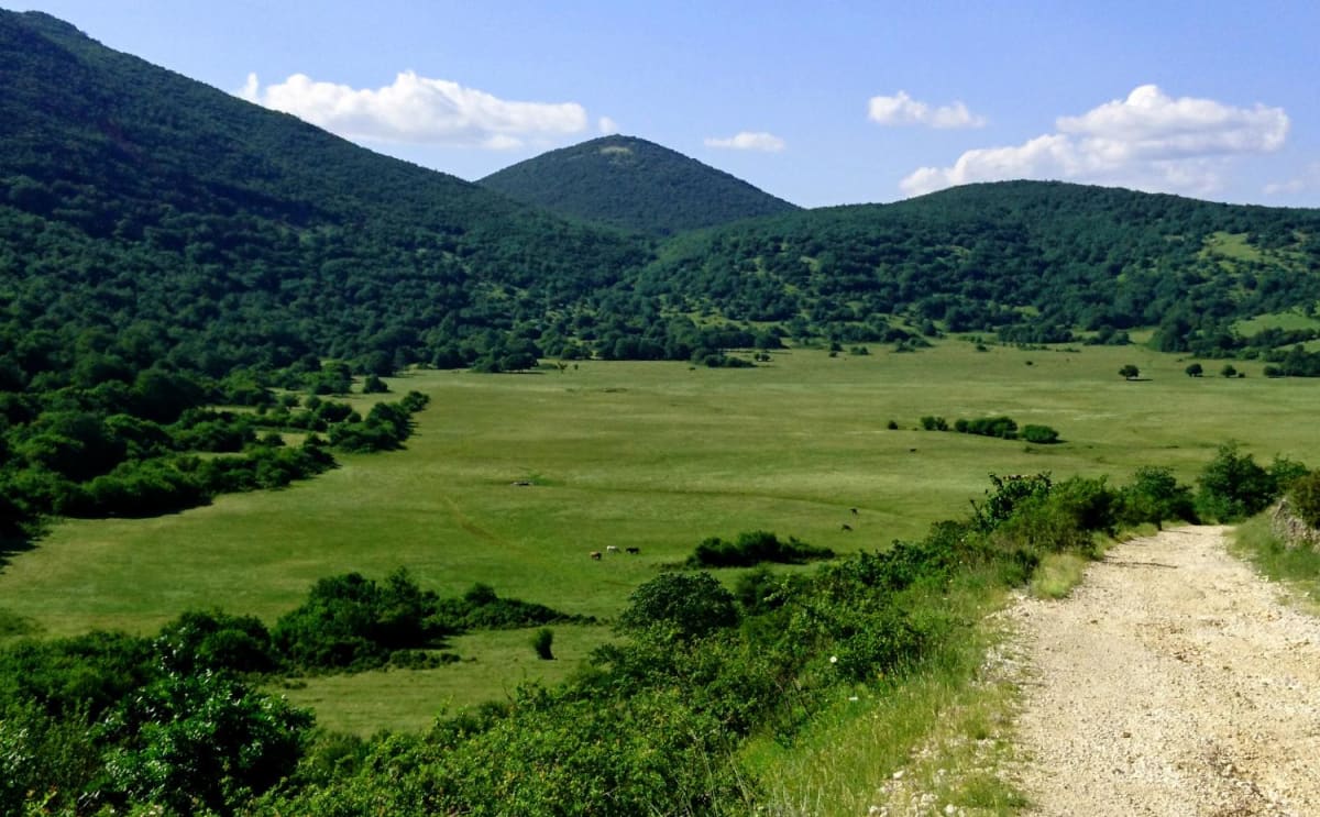 Les Abruzzes, terre des loups