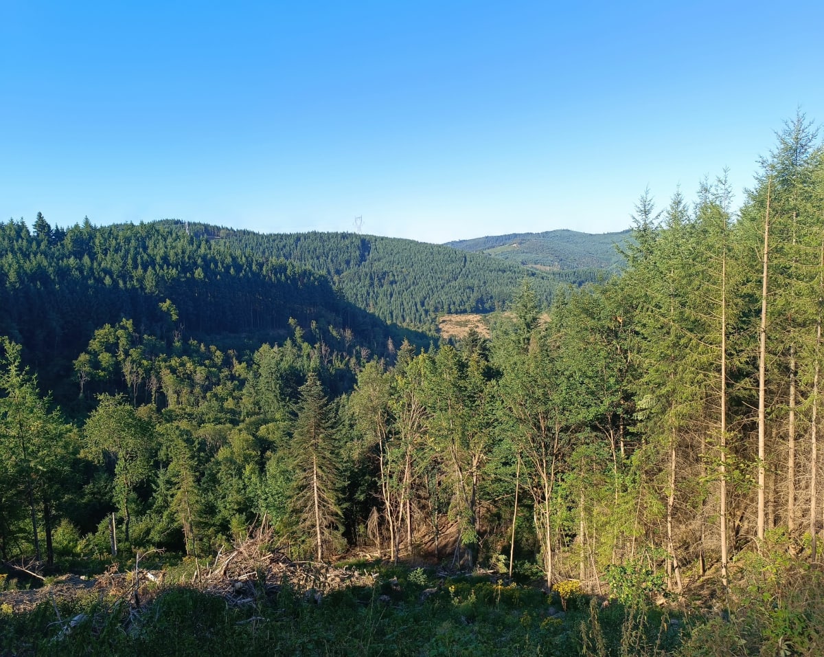 Parc des éoliennes de Valsonne - Valsonne