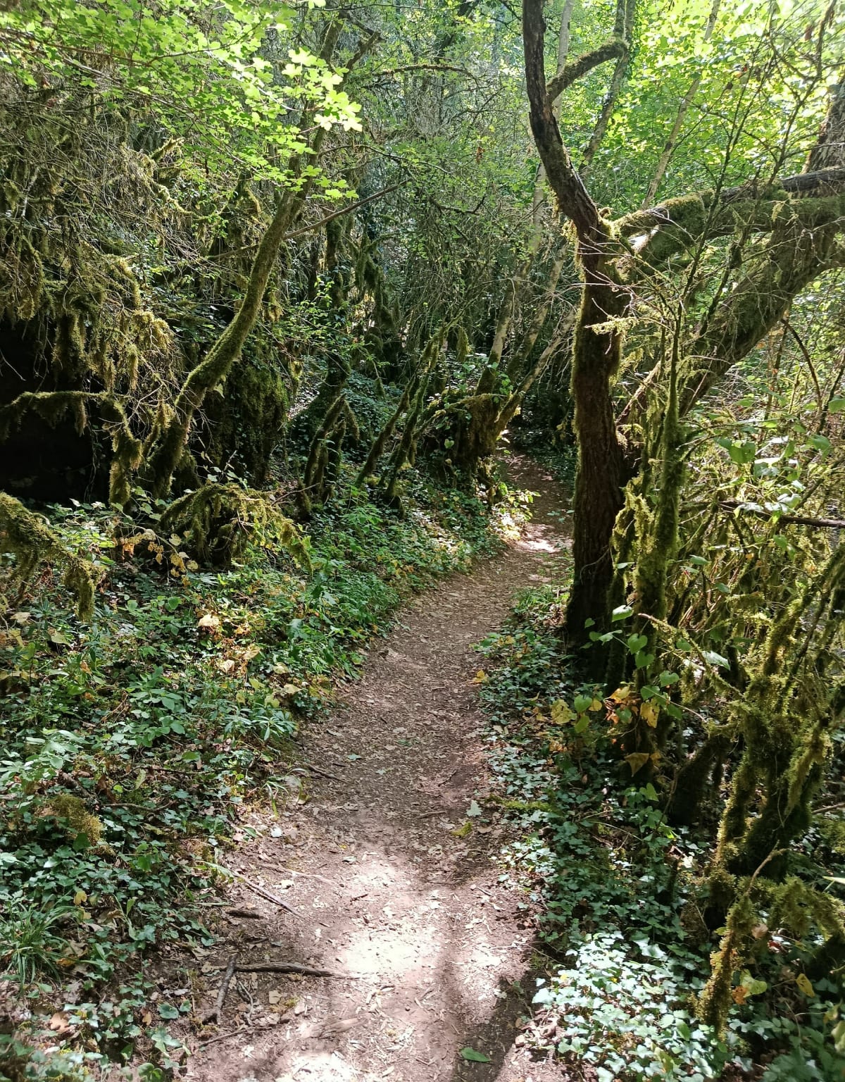 Source du Durzon - Nant