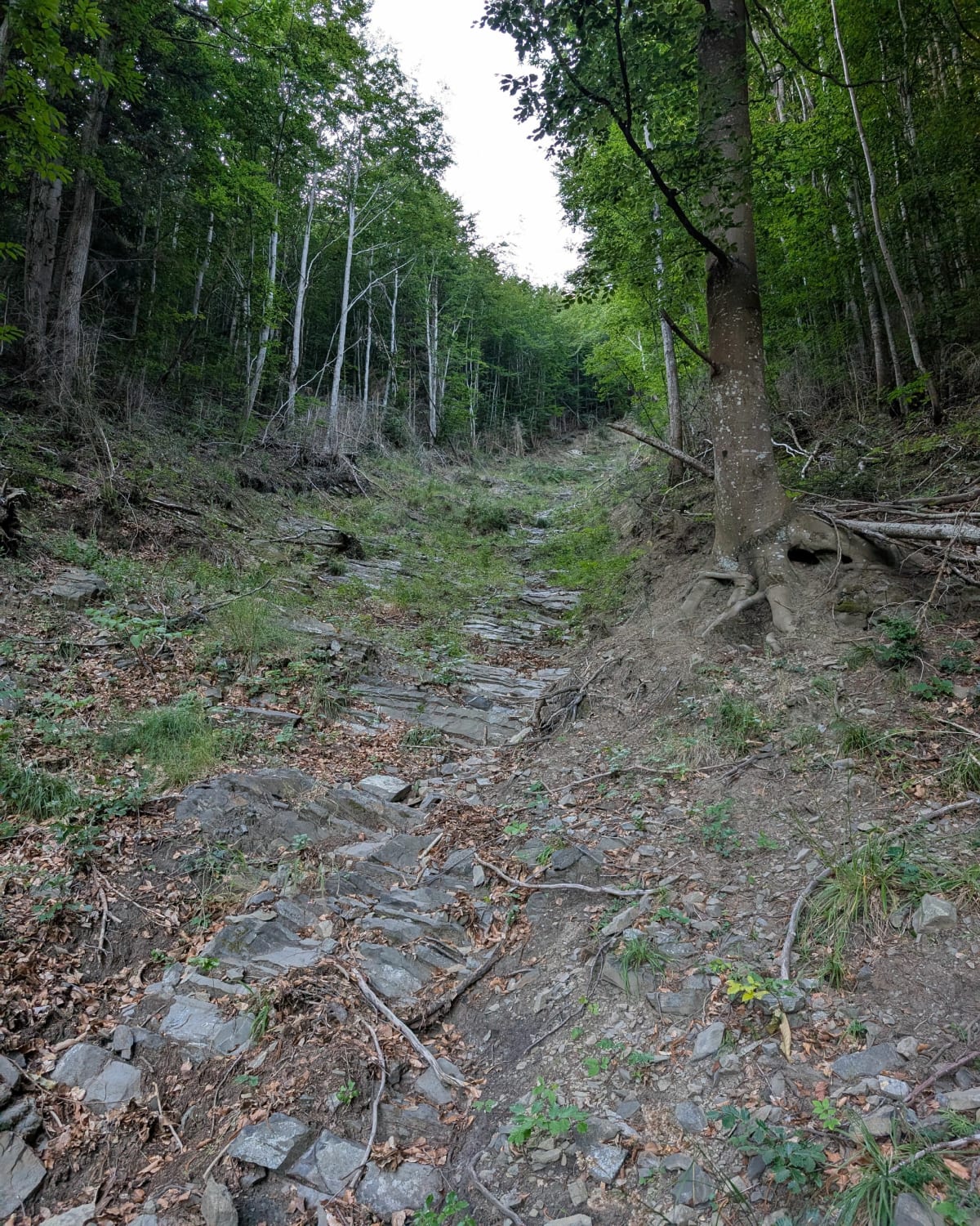 Sentier de Monfort, La Coume - Montfort-sur-Boulzane