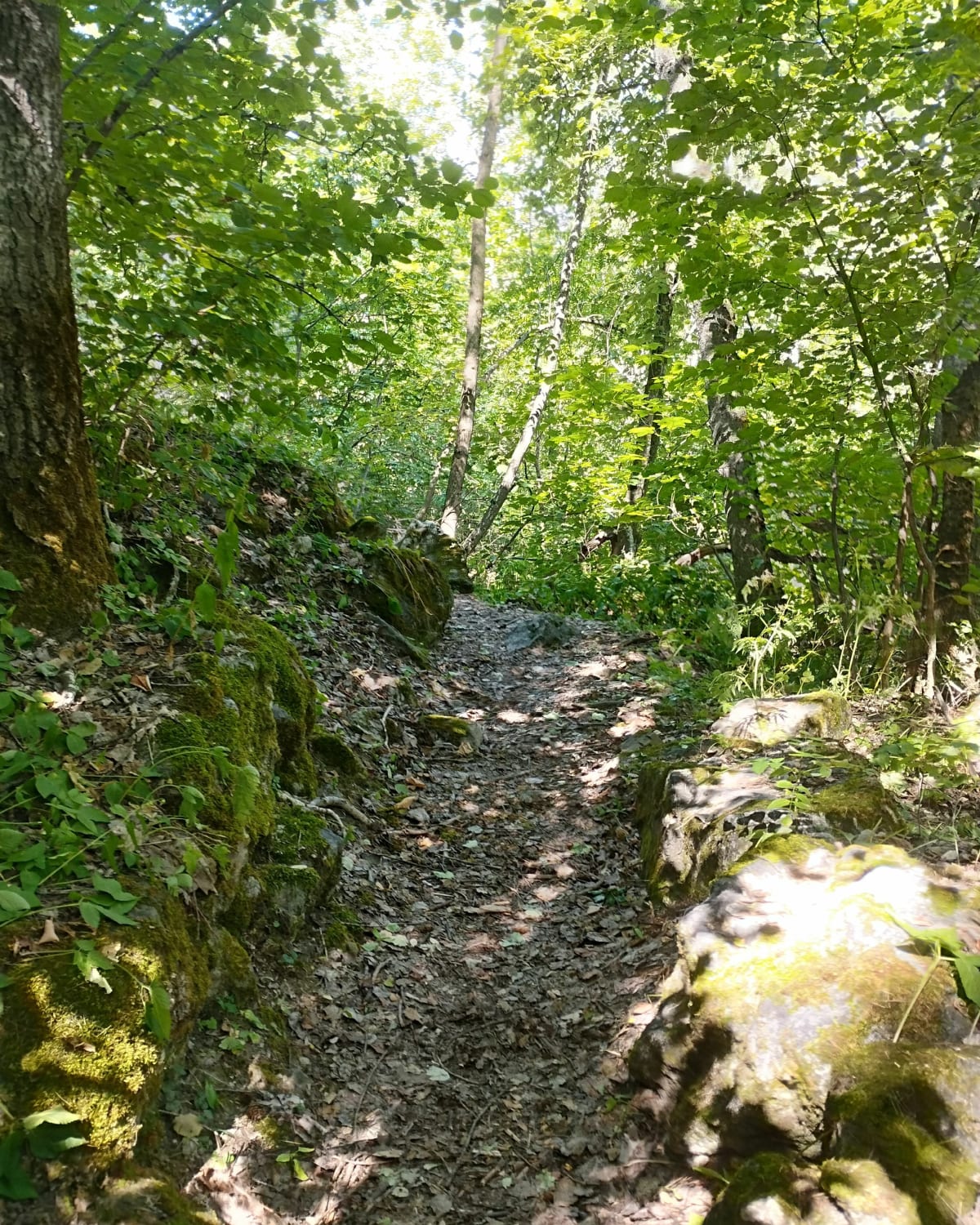 Petite randonnée autour du Puy-Saint-Vincent, les Près - Puy-Saint-Vincent