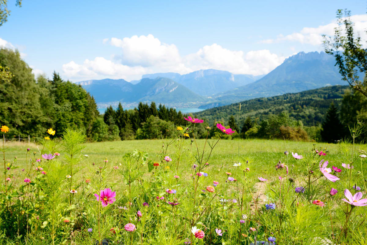 Bocca della Rossa (2393m)  et lac de Geisspfadsee - Crampiolo