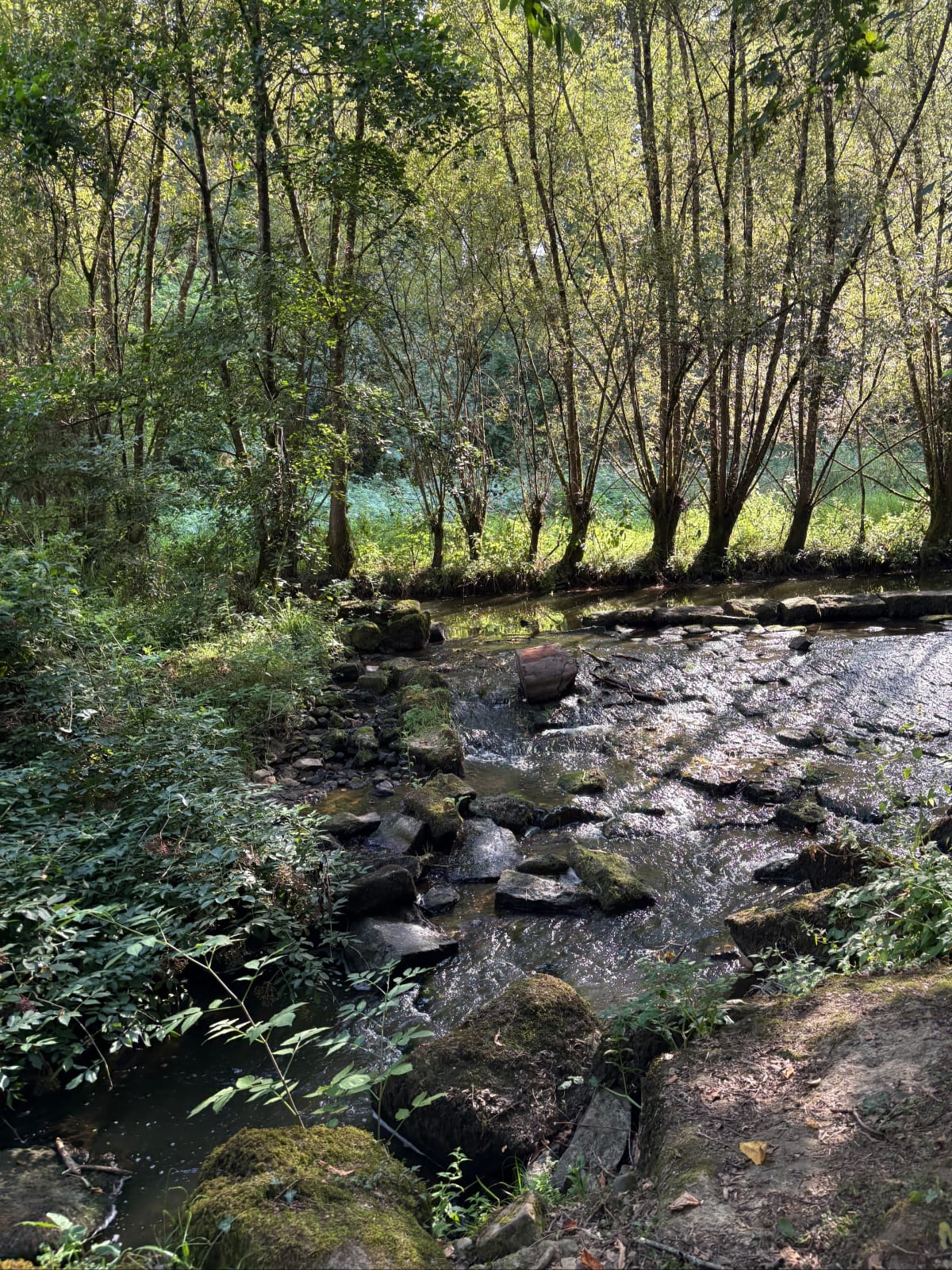 Quintin : Perche et bourg - Guillaume